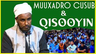 Muxaadaro Cusub amp Qisooyin Uu La Ooyay Sheikh Hussein Ali [upl. by Gnep]