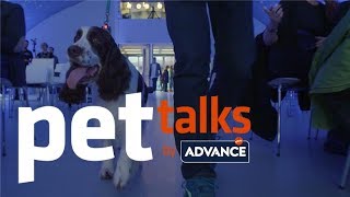 Case Study Pet Talks by Advanced  Arena Media y Affinity Petcare [upl. by Camp]