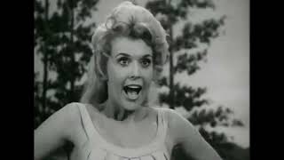 The Beverly Hillbillies Season 1 Episode 10 1962 Pygmalion and Elly Full Episode 8K [upl. by Ailsa950]