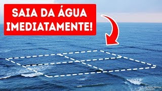 Se Você Entrar Num Mar com Ondas Quadradas Sua Vida Correrá Perigo [upl. by Derron]