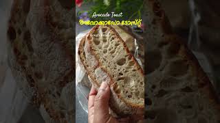 3 നേരം കഴിച്ചാലും സൂപ്പർ അവോക്കാഡോ ടോസ്റ്റ്  Avocado Toast Recipe  Weightloss Breakfast Recipes [upl. by Yenal312]