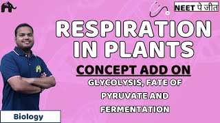 Respiration in Plants NEET Concept Add OnGlycolysis Fate of Pyruvate and Fermentation  Biology [upl. by Reginald]