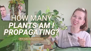 MAJOR Propagation Haul  New Space  How many plants do you think Im propagating [upl. by Ylim]