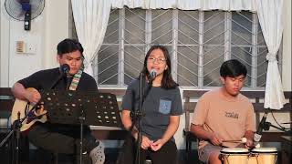 Hosanna Cover [upl. by Jareen]