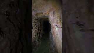 fish in a mine mines adventure lostmines oldmines underground minehistory [upl. by Rainwater172]