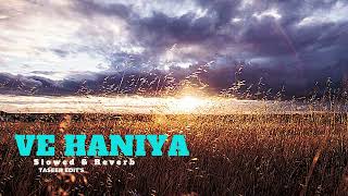 Ve Haaniyaan  Slowed and Reverb  Taseer Edits [upl. by Eitten343]