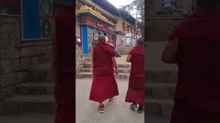 A slice of Tibet in India McLeod GanjTibetan monasteryHimachal pradeshtravel tourism shorts [upl. by Rab21]