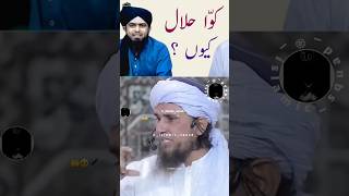 Kawwa halal kyun 👌 jabardast mufti sahab ka jawab muftitariqmasod molanatariqjameel shortsviral [upl. by Stevens248]