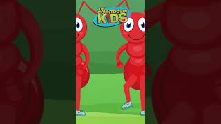 The Ants Go Marching  The Countdown Kids  Kids Songs amp Nursery Rhymes  Lyric Video [upl. by Lesser]