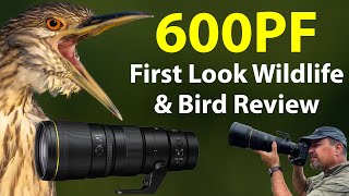 Nikon 600PF  First Look Field Review PLUS comparisons with the 180600 500PF 800PF and more [upl. by Assetnoc]