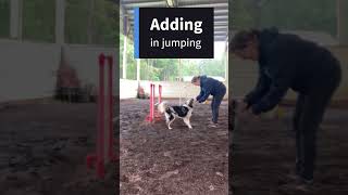 Premack Principle Agility Training…Do This For That Training agilitytraining gogetemagility [upl. by Brianne]