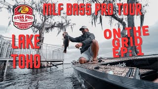 MLF Bass Pro Tour  Lake Toho Stage 1 [upl. by Geoffry]