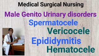 Medical Surgical Nursing Spermatocele vericocele Epididymitis HematoceleMale Genito Urinary dr [upl. by Lyrpa373]