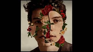 20191113 Shawn Mendes Camila Cabello  Señorita 세뇨리따 [upl. by Ungley]