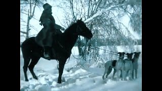 Russian Hunting Dog vs Wolf Borzoi Russian Wolfhound 1910 Documentary [upl. by Refannej]