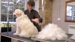 FURminator deShedding Tools for Dogs [upl. by Cavallaro]