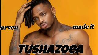 Diamond Platnumz Ft Koffi Olomide  Tushazoea Official RhumbaDiamond Platnumz•158M views [upl. by Bodrogi]