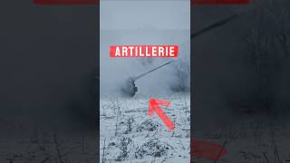 Artillerie Was ist das eigentlich CRISIS shorts [upl. by Honniball]