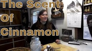 DIY Cinnamon Scents for Ornaments or Potpourri homestead Tessie Mobile Home Living [upl. by Knah239]