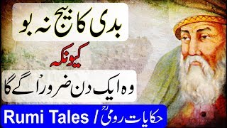 Hikayat Jalaluddin Roomi  Never Plant The Seed Of Evil  Rumi Tales  मौलाना रूमी  Urdu  Hindi [upl. by Ellehciram57]