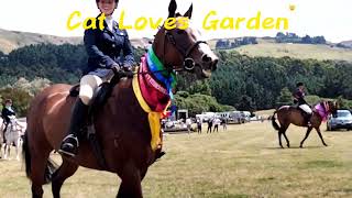 Event Vlog AampP Show Duvauchelle  dog race  Horse racing horse dog event  Cat Loves Garden [upl. by Niletac]