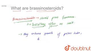 What are brassinosteroids  CLASS 11  PLANT GROWTH AND DEVELOPMENT  BIOLOGY  Doubtnut [upl. by Nosiaj43]