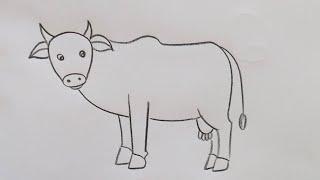 how to draw cow drawing easy step by stepDrawingTalent [upl. by Eidroj112]