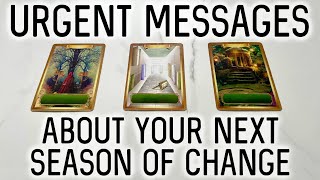 Urgent Messages About Your Next Season of Change ✉️ PICK A CARD 🕊️Timeless Tarot Reading [upl. by Llenral]