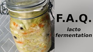 LACTOFERMENTATION Vos questions et mes réponses Conservation poids bocaux on parle de TOUT ça [upl. by Lunnete]