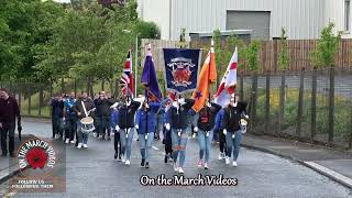 Loyal Sons of Benagh  Drumderg Loyalists Band Parade 2024 [upl. by Collis]