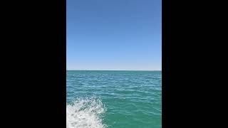 Ningaloo Coast pt 1 shorts fishing squid squidding [upl. by Naaitsirhc]