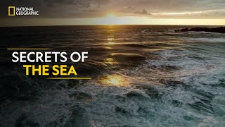 Secrets of the Sea  Hostile Planet  Full Episode S01E02  हिन्दी  National Geographic [upl. by Enilekcaj]