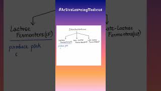 Classification of Enterobacteriaceae microbio [upl. by Iramohs369]