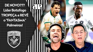 quotÉ PRA FICAR DESESPERADO O Botafogo TÁ AFROUXANDO o Palmeiras foi HEROICO TÁ A 2 PONTOS equot [upl. by Rimat]