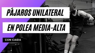 Pájaros en Polea MediaAlta Unilateral con Caída  IVOPHYSICAL [upl. by Atiras997]