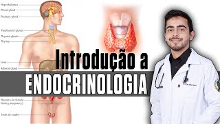 Introdução a Endocrinologia │ Fisiopatologia amp Fisiologia │ GUYTON Capítulo 75 [upl. by Llenram]