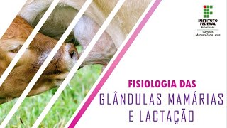 Fisiologia Das Glândulas Mamárias E Fisiologia Da Lactação  Mamogênese Lactogênese e Galactopoese [upl. by Alissa]