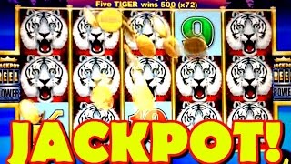 JACKPOT HANDPAY HUGE WHITE TIGER ARISTOCRAT SLOT PLAY [upl. by Rotceh726]