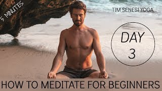 How to Meditate for Beginners  5 Minutes a Day  The 7 Day Meditation Challenge  Tim Senesi Yoga [upl. by Clarinda]