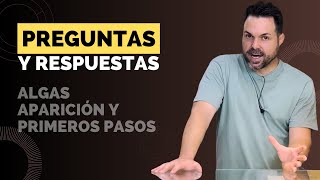 ¡SOS Algas en el Acuario 🤯 Trucos Infalibles para Ganar la Batalla 🔥► [upl. by Naletak]