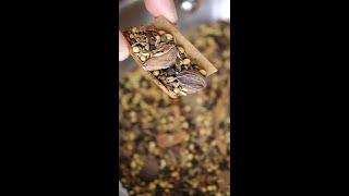 How to Make Garam Masala Spice Mix [upl. by Corvin575]