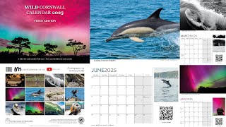 Wild Cornwall Calendar 2025 Video Edition  Teaser 01 [upl. by Duky627]