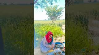 Holi song shekhawati jaatni newvideo youtubeshorts [upl. by Suivatna]