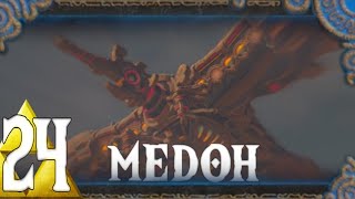 Vah Medoh der Titan des Windes🦅☁️💨Botw24 Part24 [upl. by Cyprio]