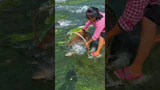 fish out from green sea in japan shortsvideo [upl. by Desdamona371]