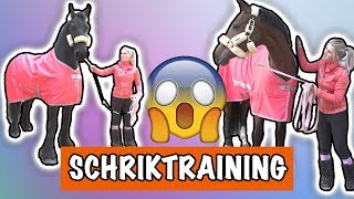 SCHRIK TRAINING MET EVE EN VITO  PaardenpraatTV [upl. by Kimberlee]