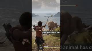 AC Odyssey  Makedonian Lion VS Tamed Bear  Who will win [upl. by Tormoria539]