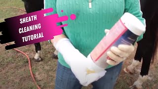 Sheath Cleaning Tutorial for Horses [upl. by Emmanuel]