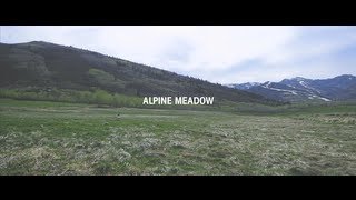 Alpine Meadow [upl. by Bebe]