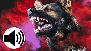 ANGRY Dogs Barking Sound Effect [upl. by Ahsitnauq]